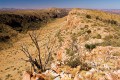 Larapinta_20080605_275 copy